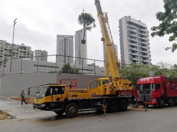 政兖州市吊车出租电话_怎样选择吊车出租类型